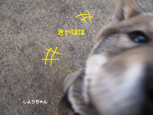 f0143123_07452926.jpg