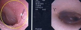 a0082724_21424277.jpg