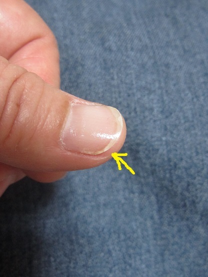 e0137130_23245887.jpg