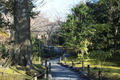 京都・天龍寺_a0345833_18414397.jpg