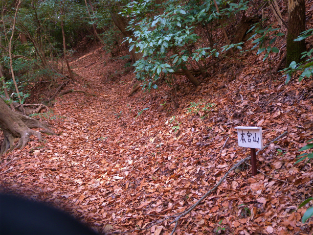 e0272335_17383656.jpg