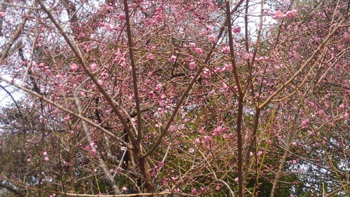 f0210439_0463472.jpg