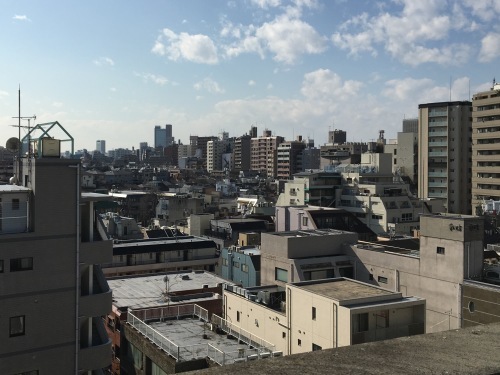 下北沢から渋谷まで歩く 駒場東大の風情と目黒天空庭園の迫力 散歩ガイド