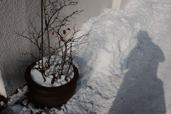 c0162846_22222287.gif