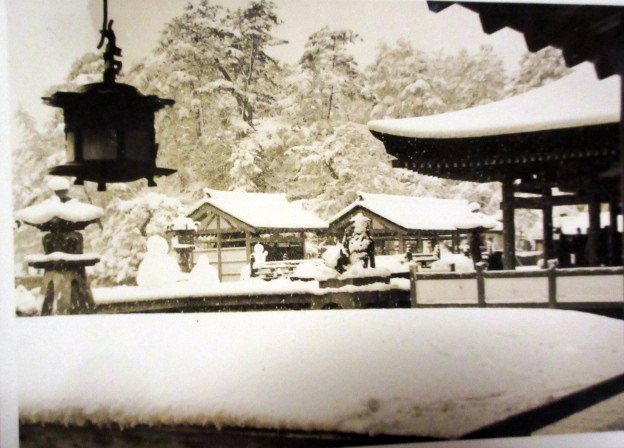 【昭和31年2月雪の宮島と岩国】_b0009849_14305368.jpg
