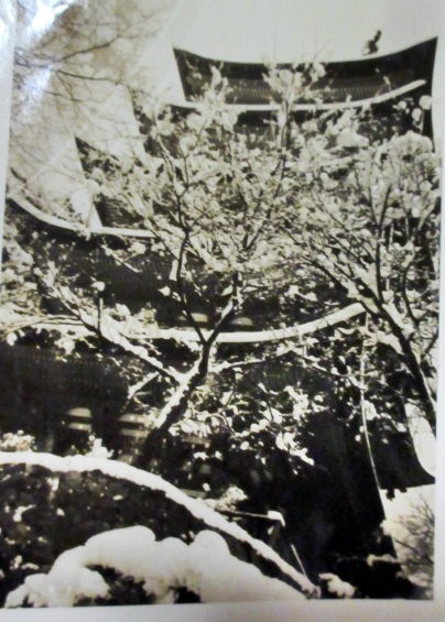 【昭和31年2月雪の宮島と岩国】_b0009849_14315489.jpg