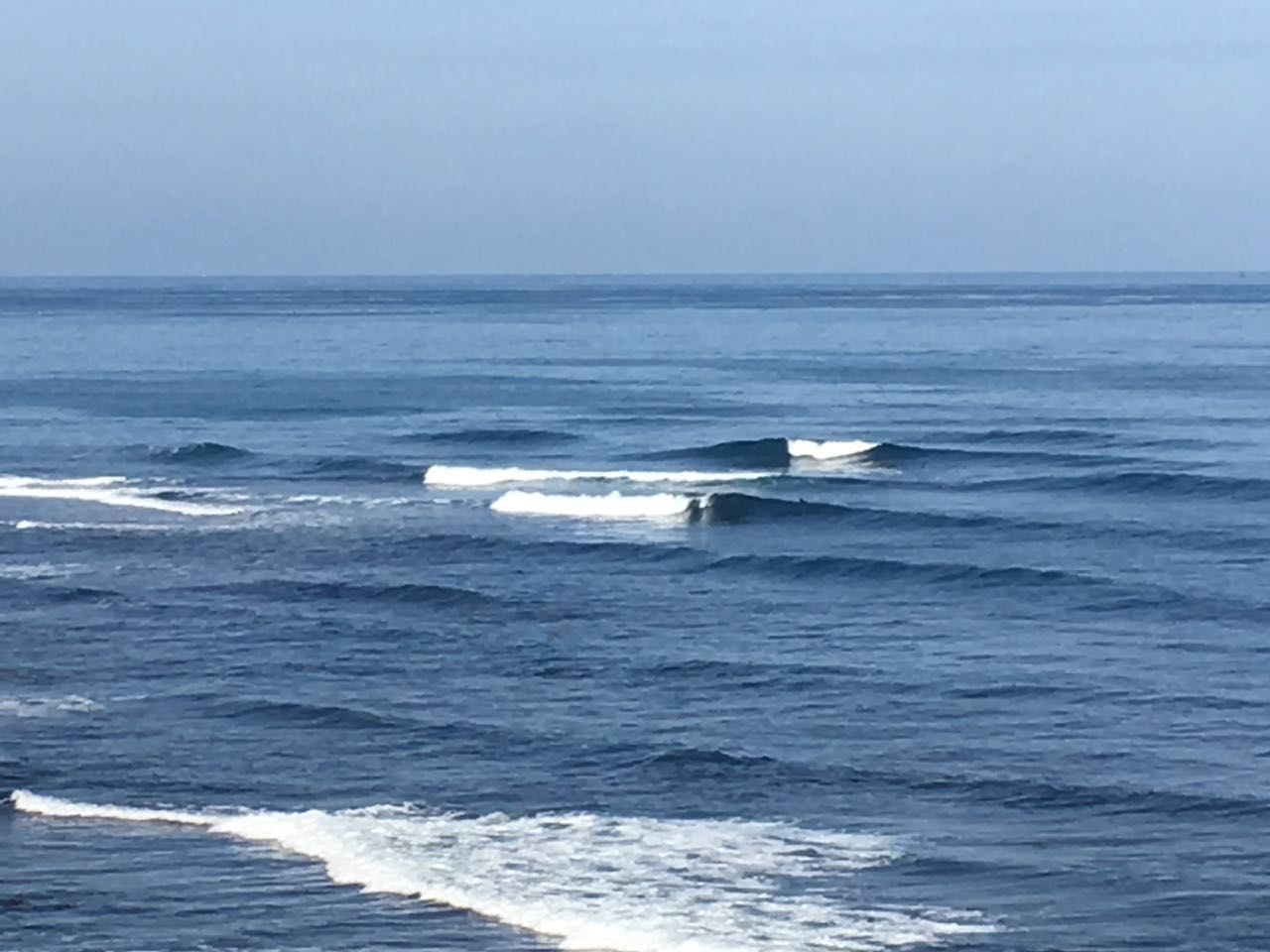 c0254151_2221910.jpg