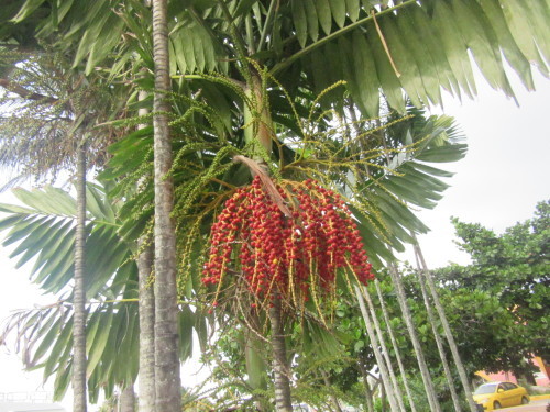 b0247153_08595823.jpg