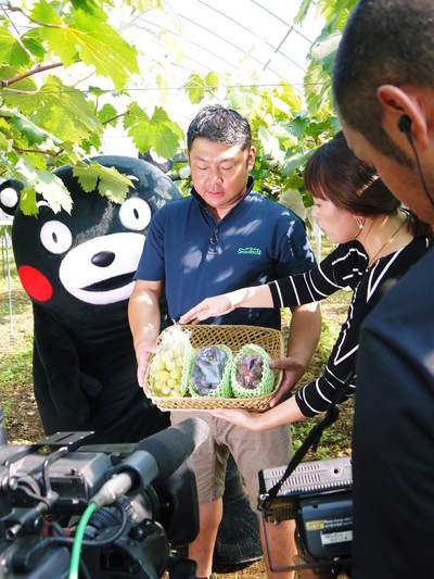 熊本ぶどう　社方園　匠の剪定作業2017_a0254656_17152921.jpg