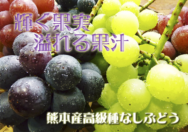 熊本ぶどう 社方園 匠の剪定作業2017_a0254656_1751617.jpg