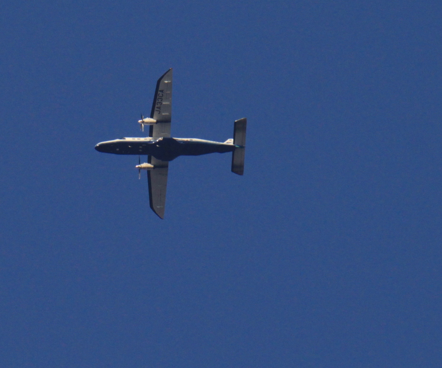 a0248459_15044273.jpg