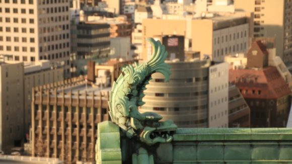 和歌山城絶景・・_d0202264_10565521.jpg