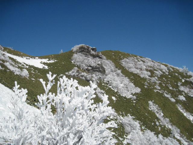 c0219866_17562567.jpg