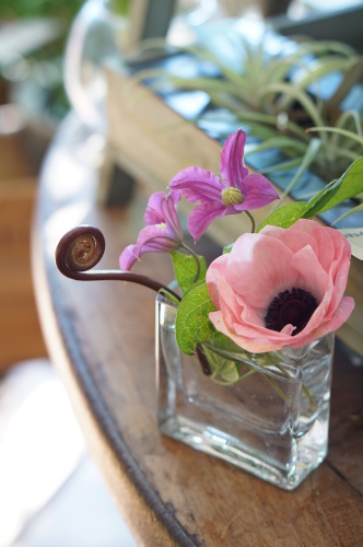 ちょこっと飾り 暮らしに花を 木 音 Conon