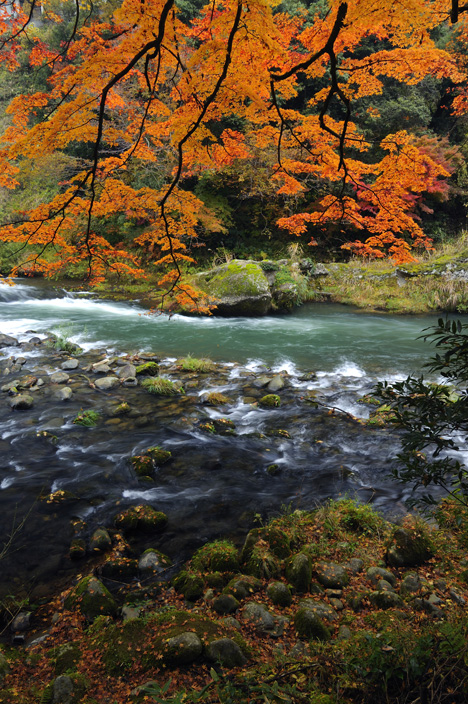 いよいよ第６回山中温泉フォト５７５応募受付開始♪ _d0095673_17292048.jpg