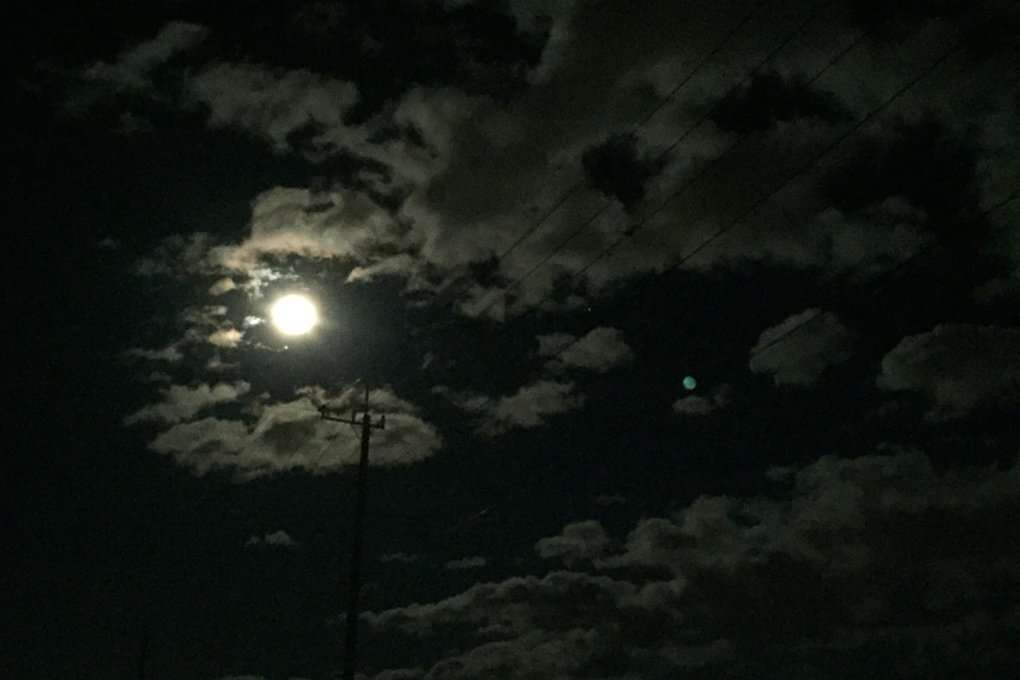 moonlight by iphone_e0118274_21212841.jpg