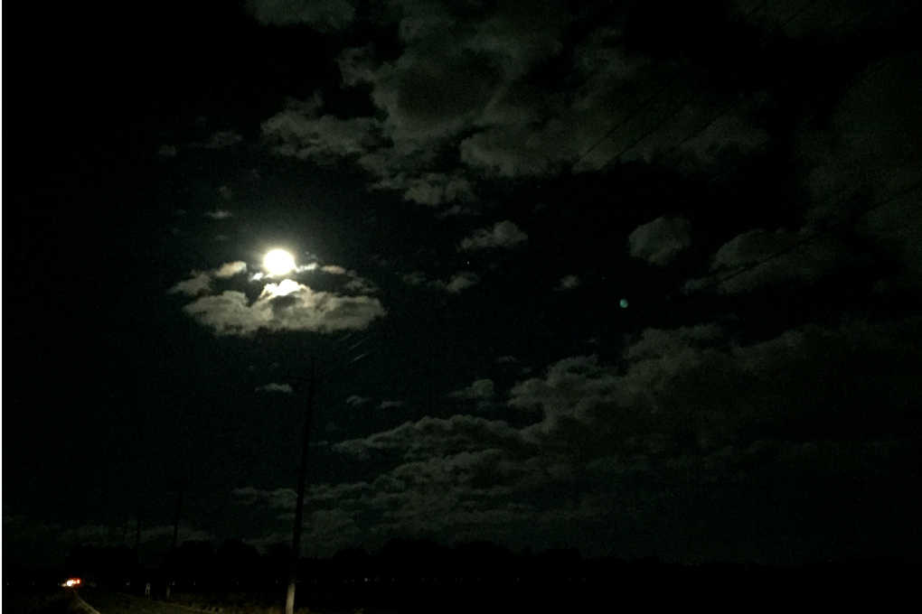 moonlight by iphone_e0118274_21215180.jpg