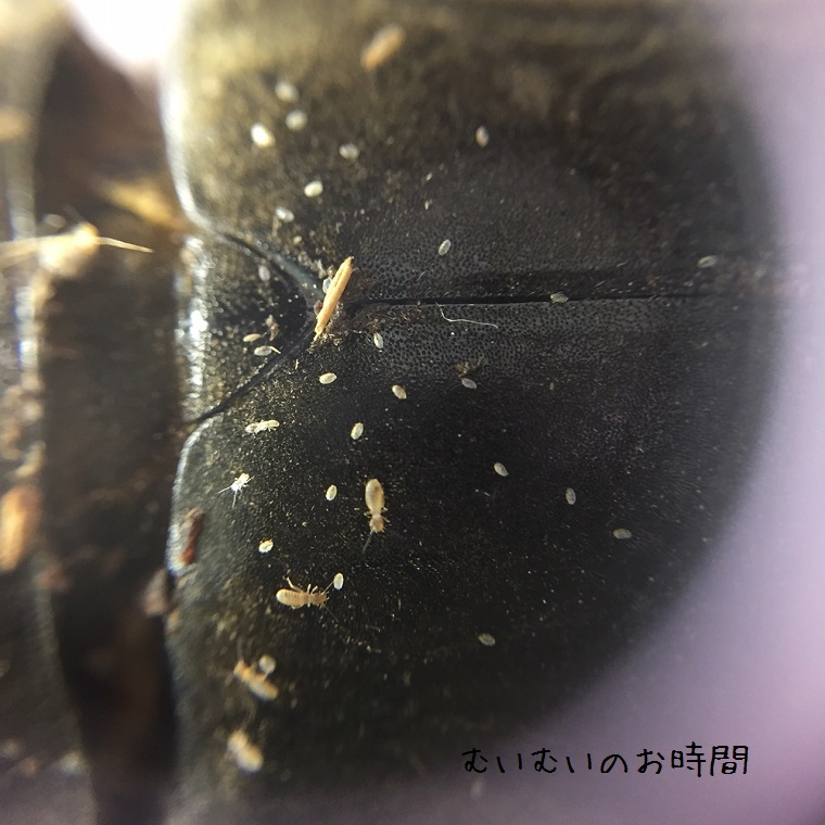 b0116682_01410007.jpg