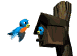 b0364186_23474419.gif