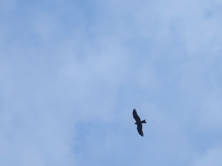 f0227590_19130162.jpg