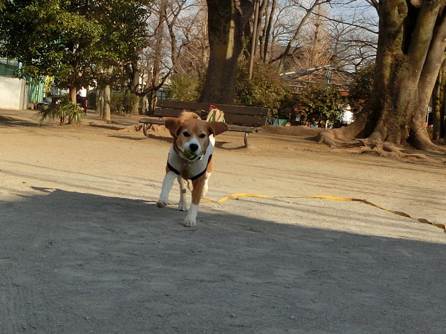 a0319693_8182374.jpg
