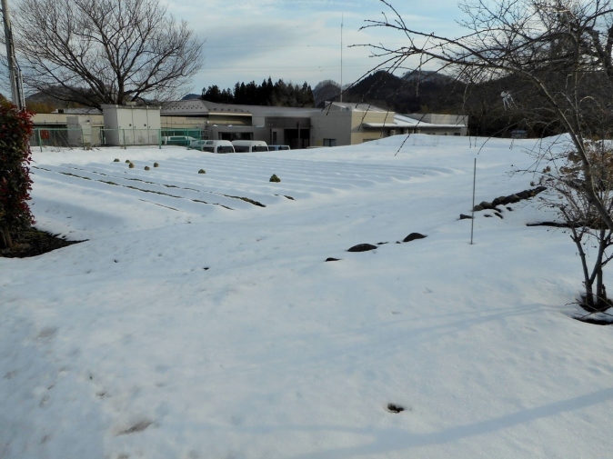 f0075595_20545909.jpg