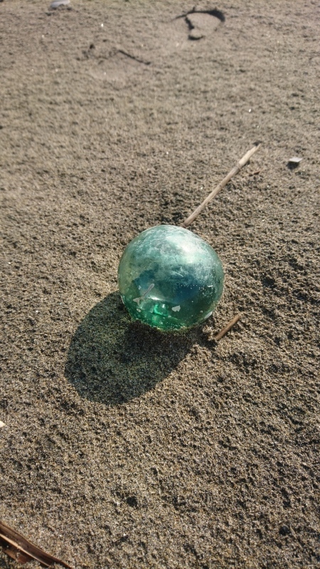 f0373796_20531939.jpg