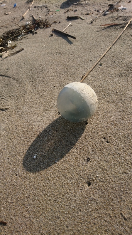 f0373796_20551297.jpg