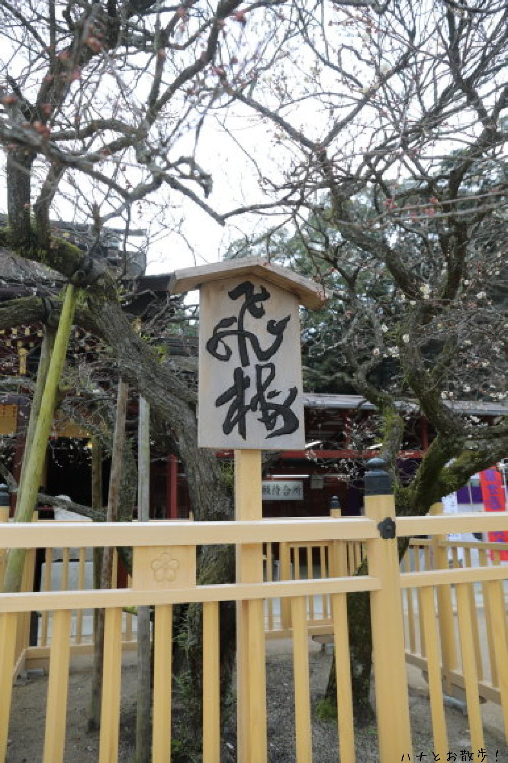 b0275998_12201276.jpg