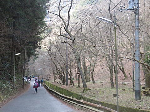 d0046702_07293723.jpg