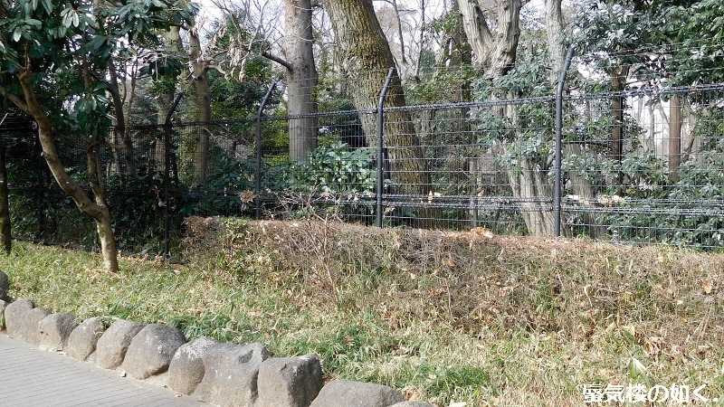 e0304702_08121016.jpg
