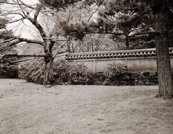 c0195909_11203658.jpg