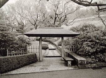 c0195909_11204429.jpg