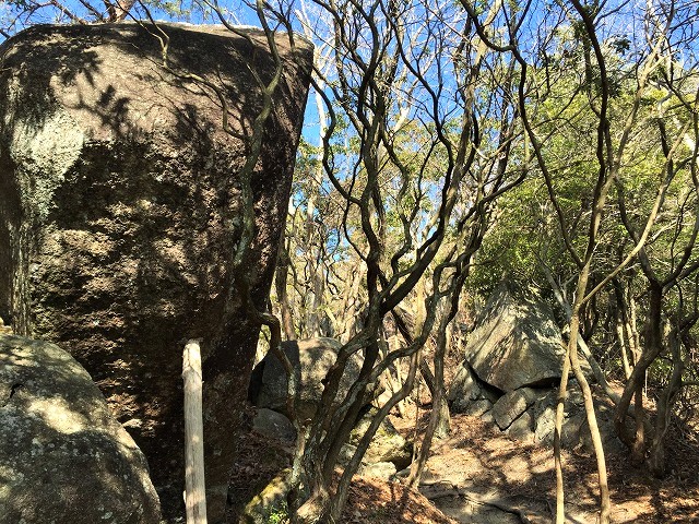 豊田市　猿投山の東海自然歩道と七滝を歩く　　　　　Mount Sanage in Toyata, Aichi_f0308721_19552846.jpg