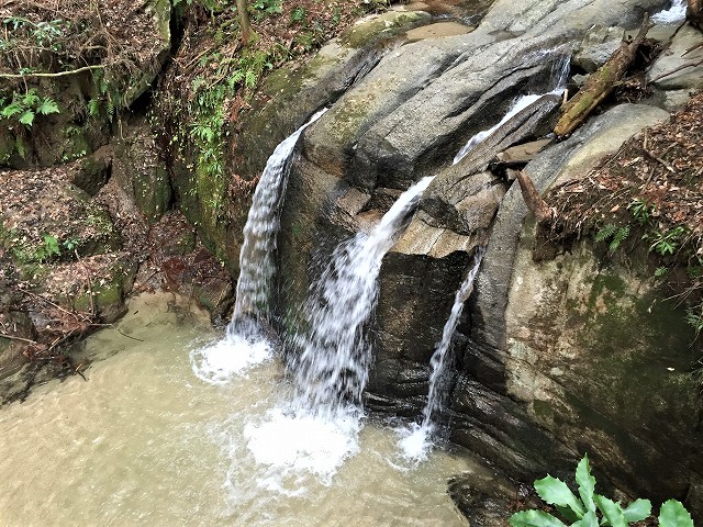 豊田市　猿投山の東海自然歩道と七滝を歩く　　　　　Mount Sanage in Toyata, Aichi_f0308721_2084833.jpg