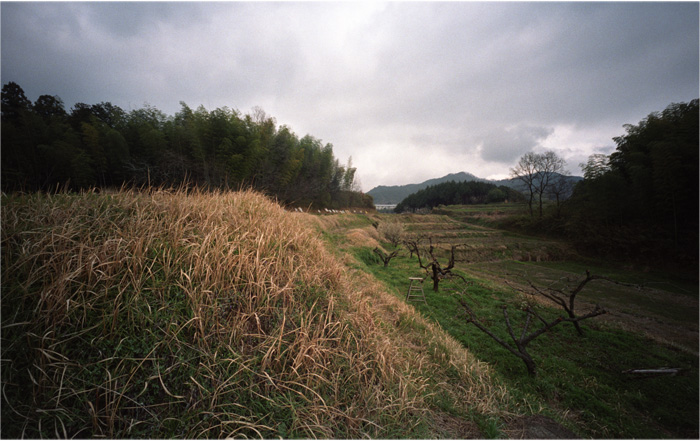 b0226423_2334434.jpg