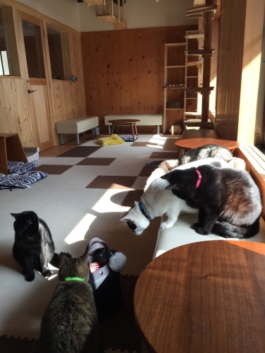 a0279024_23121277.jpeg