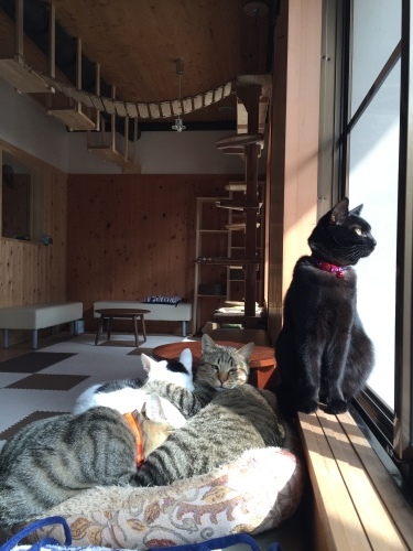 a0279024_23125361.jpeg