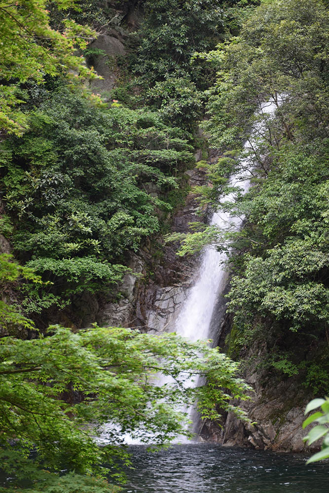 e0158128_17461664.jpg