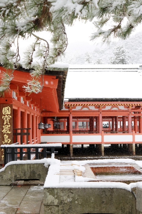 雪の宮島 広島旅行 - 11 -_f0348831_22563412.jpg