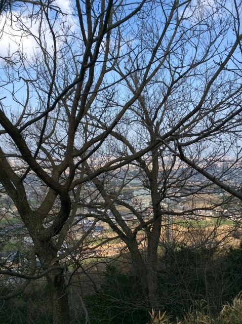 f0039933_16462630.jpg