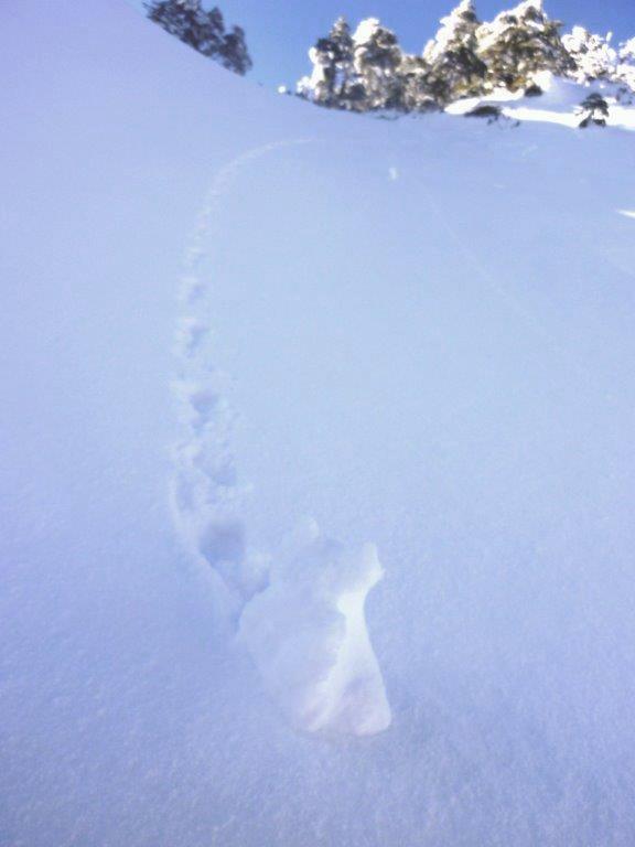 雪が遊んだ_b0298935_18072526.jpg