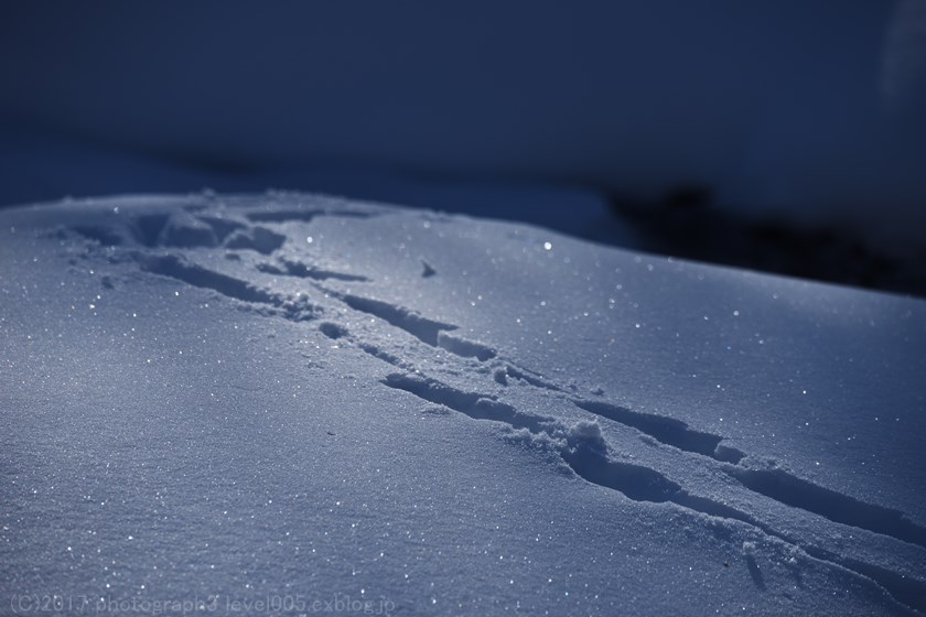 e0362037_22315.jpg