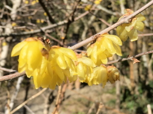 c0097838_12074703.jpg
