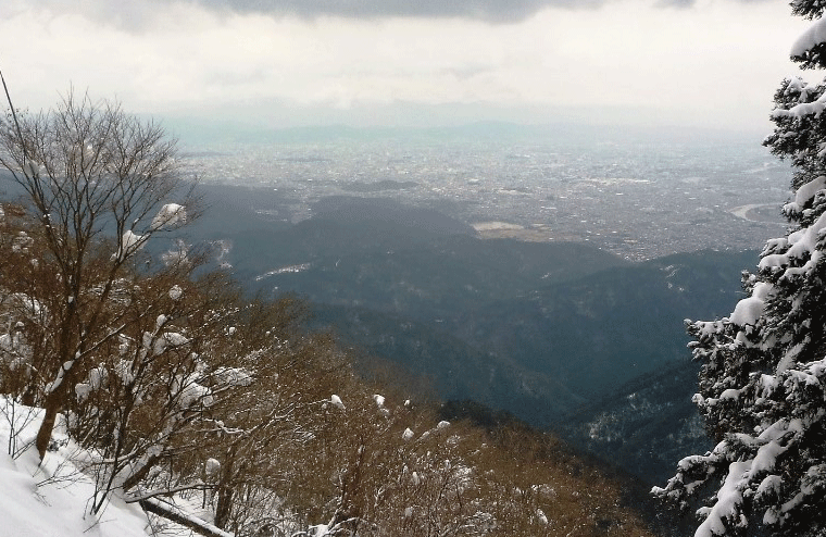 e0371039_095342.gif