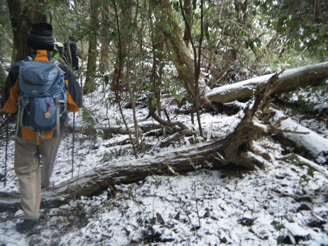e0371039_6442884.gif