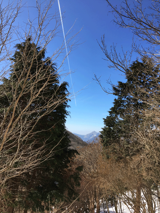 e0371039_6552539.gif