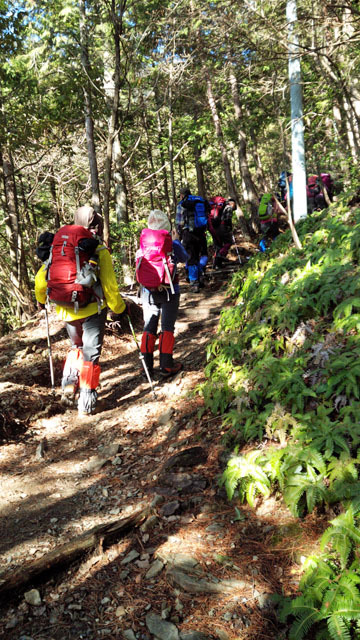 京都北山 愛宕山 ゆず風呂地鶏鍋で温まりましょう!_c0218841_09552686.jpg
