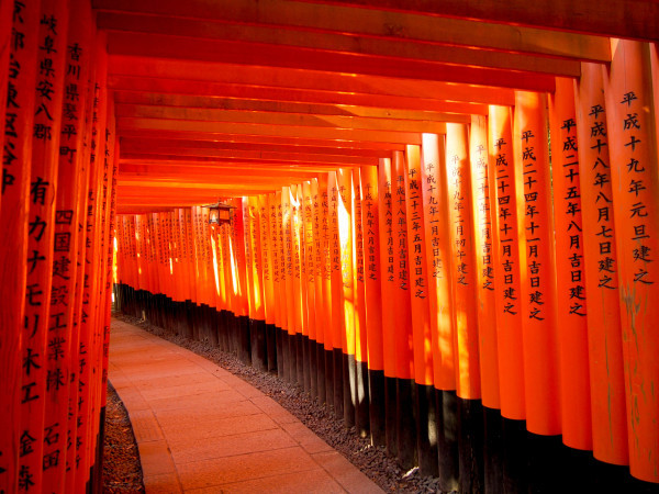 #208 お稲荷さん Oinari san（写真部門）_f0361341_16142988.jpg