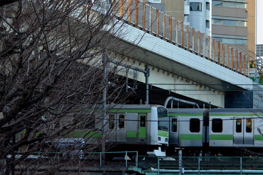 散り終わって北参道_f0113552_23504865.jpg